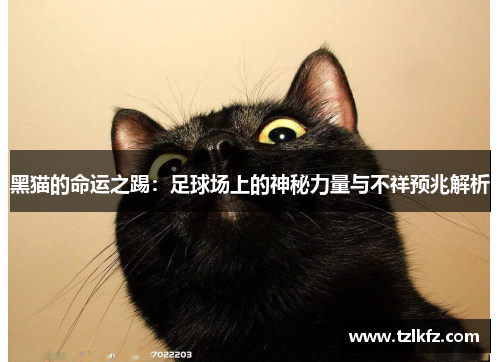 黑猫的命运之踢：足球场上的神秘力量与不祥预兆解析
