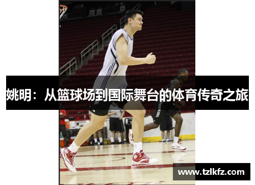 姚明：从篮球场到国际舞台的体育传奇之旅